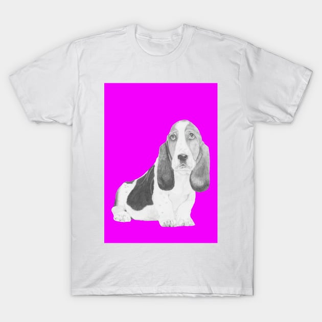 Basset Hound Puppy in Pink T-Shirt by DavidASmith